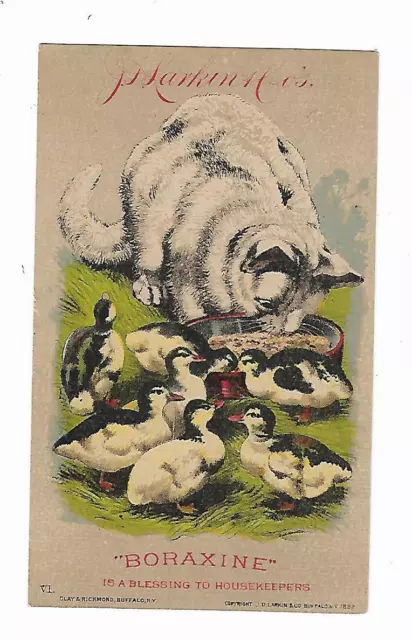 1882 Trade Card BORAXINE Soap J. D. Larkin Co Buffalo NY Cat Baby Ducklings