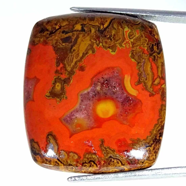 Opale Noble Doublet D'Australie - Cabochon De 3.20 Carats - O&co, Neuve Sans Emballage
