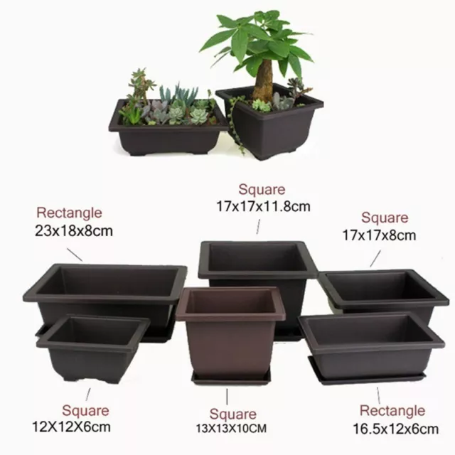 Plastic Planter Plant Flower Pot Broad Base With Saucer Garden Plate Tray Water