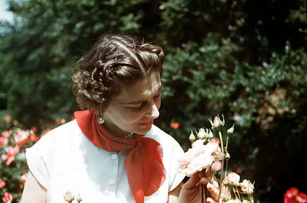 The Duchess of Kent is pictured smelling a rose 1950s Old Photo