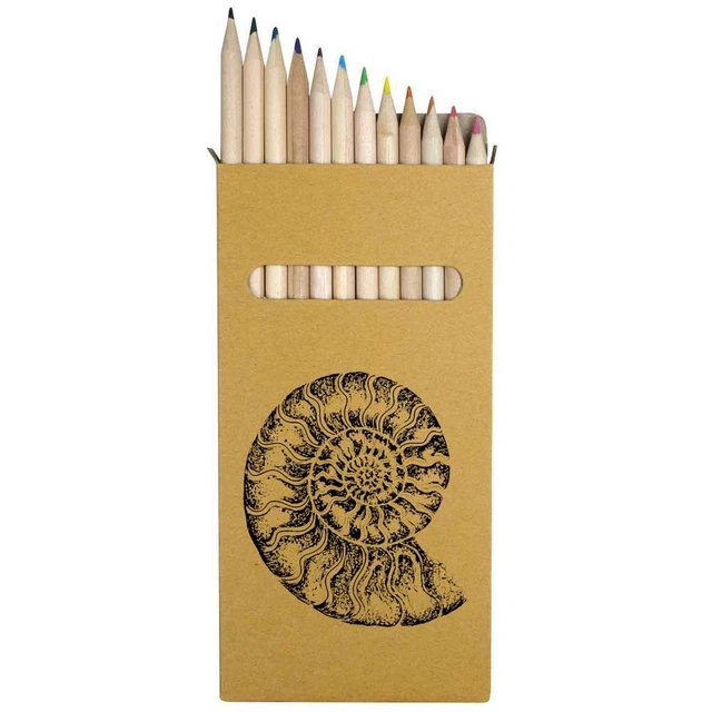 12 x 'Ammonit' lang 178 mm Buntstifte/Bleistift-Set (PE00051113)