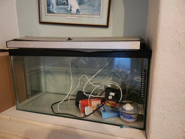 Fish Tank