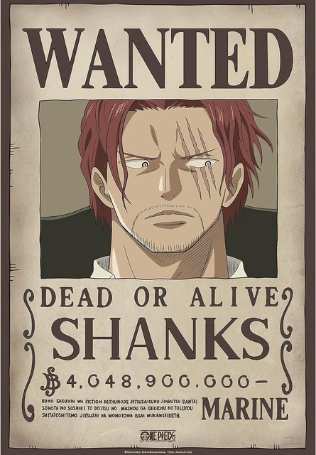 Poster L'Attaque Des Titans - Paradis Vs Mahr - 52x38 Cm - ABYstyle - Déco Manga