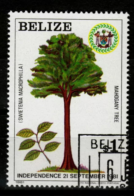 Belize/Brit.Honduras 612, O, Mahagonibaum