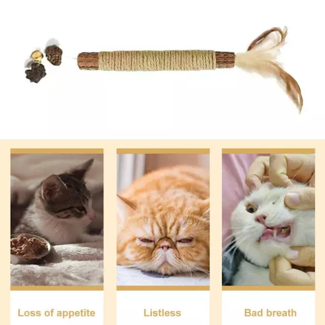1-5PCS Kitten Teething Chew Toys Natural Chew Sticks for Pet Teeth Cleaning Z1G9 3