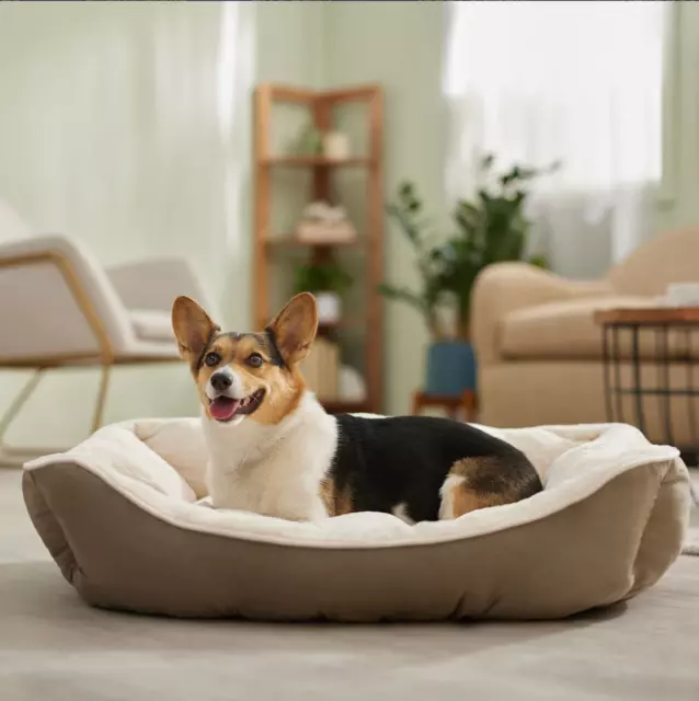 Frisco Orthopedic Suede Rectangular Khaki Green Bolster Cat & Dog Bed, Large