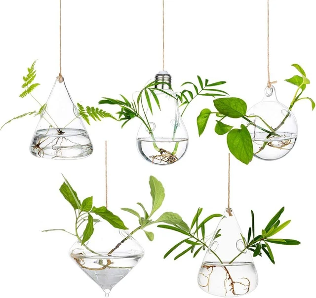 Hanging Glass Planters Terrarium, 5Pcs Glasseam Propagation Stations  Home Decor