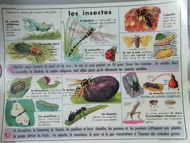 Lot De 38 Feuilles D'autocollants Vintage – Mrs. Grossman's – Animaux, Insectes, école, Nourriture
