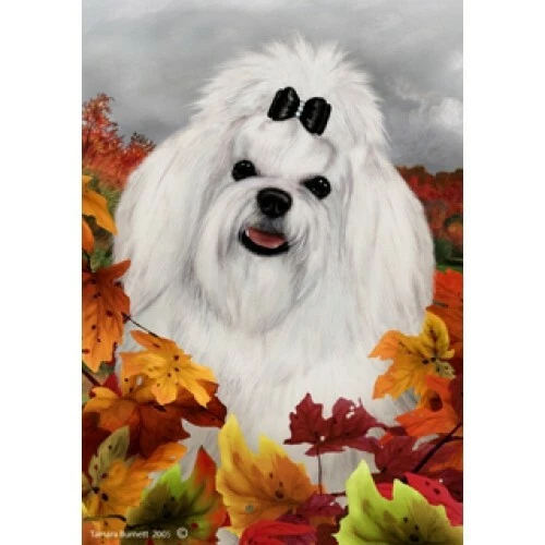 Fall House Flag - Maltese 13041