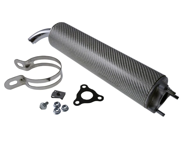 Scarico ESD carbonio argento TECNIGAS TG2 RS ricambio silenziatore terminale sistema di scarico