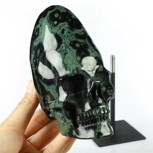5.1" Kambaba Jasper Hand Carved Crystal Incan Skull Sculpture, Crystal Healing 5.1" Kambaba Jasper Hand Carved Crystal Incan Skull Sculpture, Crystal Healing