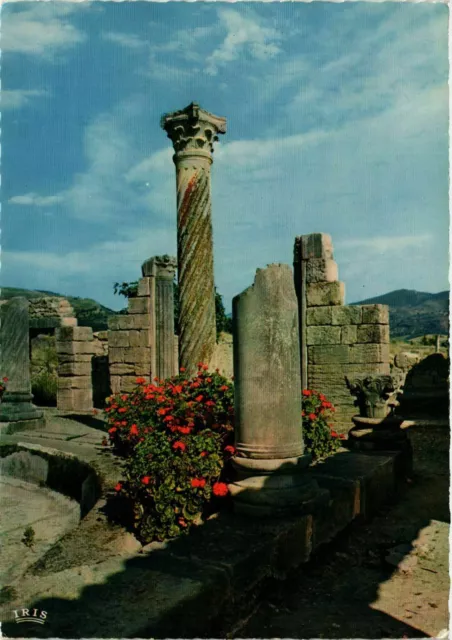 CPM AK Volubilis- LA Maison aux Colonnes MAROC (881087)