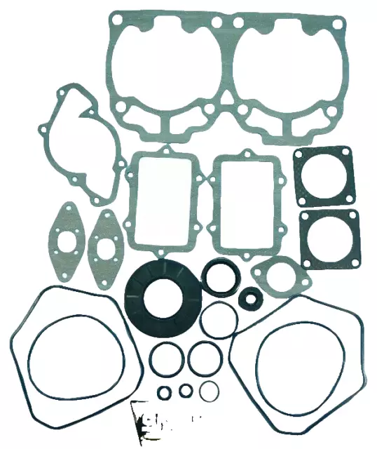 Hpr Ski-Doo 800 Gasket Kit Oil Seals 2001-2006 Summit Mxz X Xrs Legend Gsx Gtx