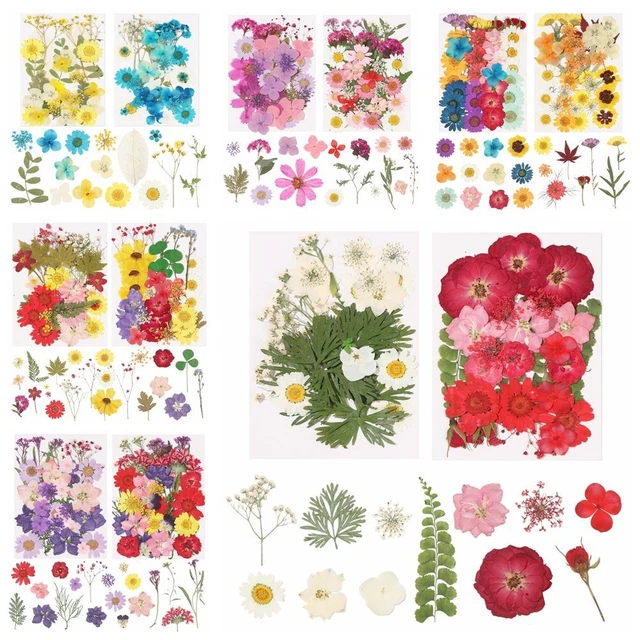 Vela de aromaterapia con flores secas reales con flores secas prensadas naturales