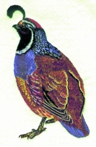 Embroidered Long-Sleeved T-Shirt - Quail BT2823