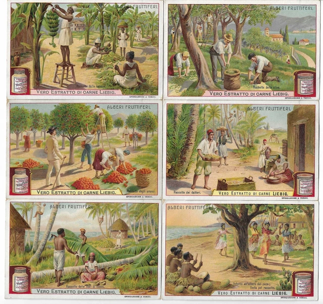 S 0878 / Liebig / Alberi Fruttiferi (Ita) 878 Mf110449
