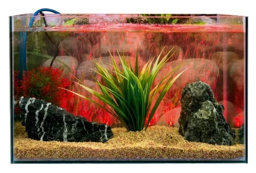 Marina LED Curtain Betta Aquarium Air Pump 14-Inch Red 3
