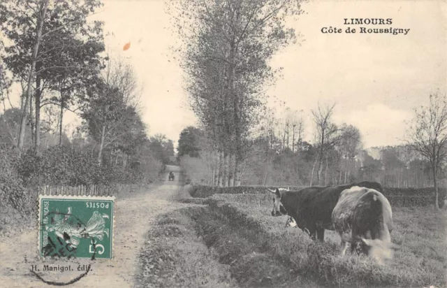 Cpa 91 Limours Cote De Roussigny