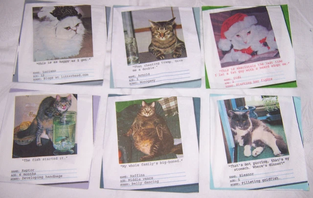 6 Cocktaill Servietten MIX Konvolut Katzen (2)