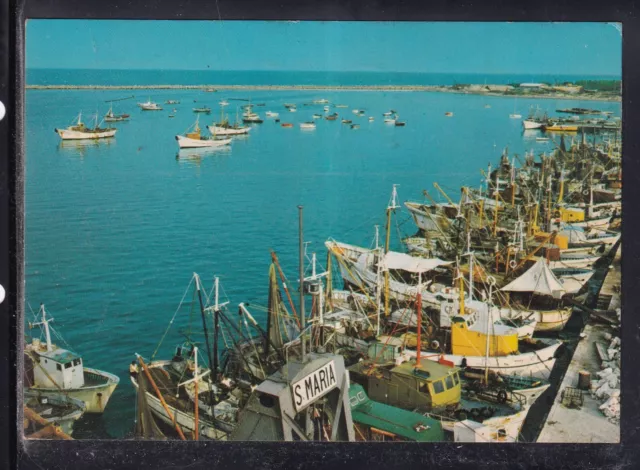Cartolina San Benedetto del Tronto il Porto MC252