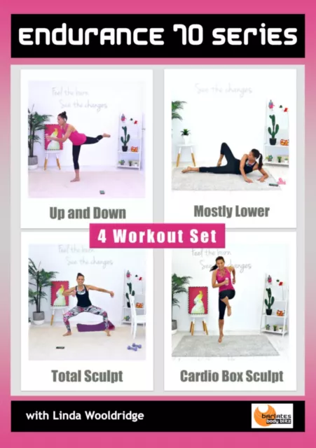 PILATES EXERCISE DVD - Barlates Body Blitz FIT IN 5 SERIES - 4
