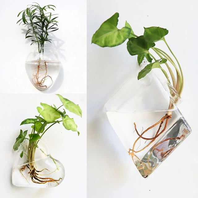 Fashion Wall Hanging Glass Flower Vase Terrarium Wall Fish Tank Aquarium Contain 3