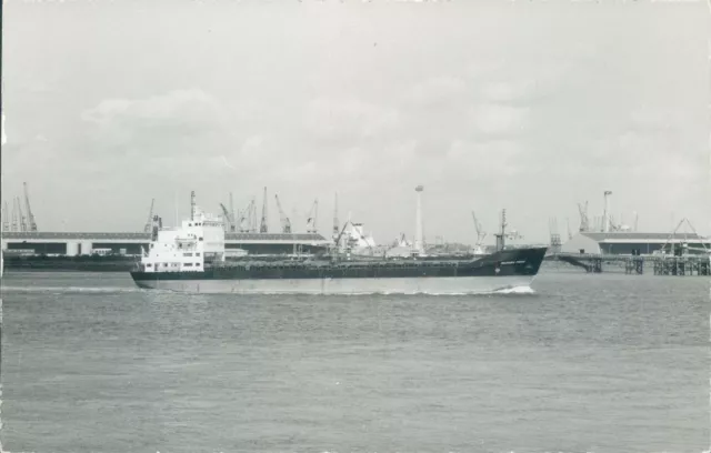 British MV warden point off gravesend 1989 ship photo
