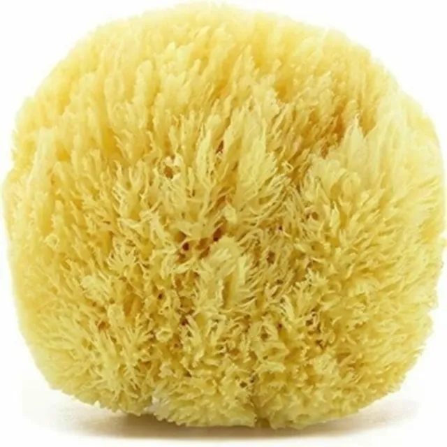 Large Adult Bath Luxurious Real Greek Sea Sponge Natural Formed Uncut Very Soft