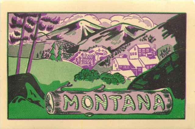 Swanson's Mobil Gas Station ~BOZEMAN MONTANA~ Gorgeous "MONTANA" Luggage Label