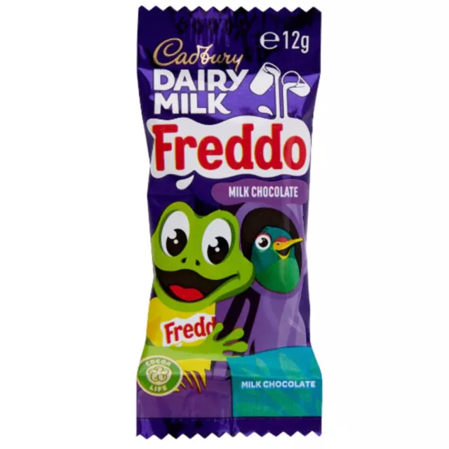 72 x Cadbury Dairy Milk Freddo 12g 3