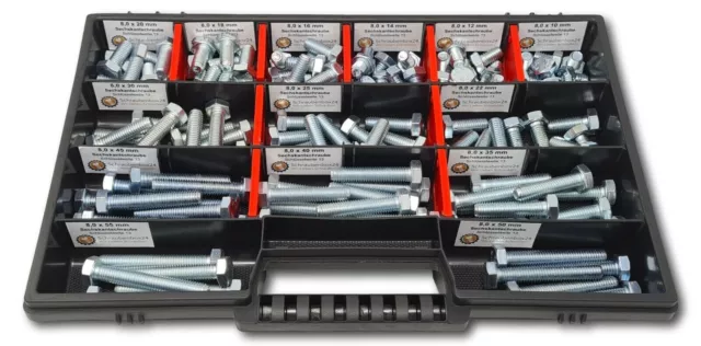 Assortimento viti esagonali M8// 10 mm-55 mm 130 pezzi scatola viti DIN 933