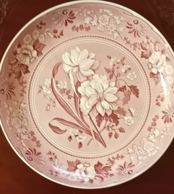 Spode Archive Georgian Series Botanical Pasta Serving Bowl(s) 11 7/8" Blates Red