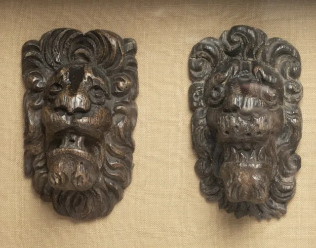 Two Antique Carved Oak Lion Mask Heads 17th/18th Century in Glass Fronted Case 3