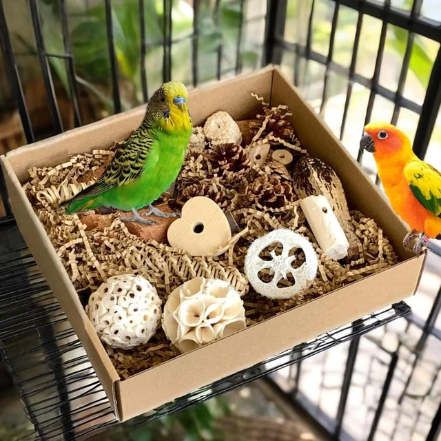 Image showcasing BIRD FORAGING SHREDDING Toys Box, Birds Natural Interactive Chew and ...