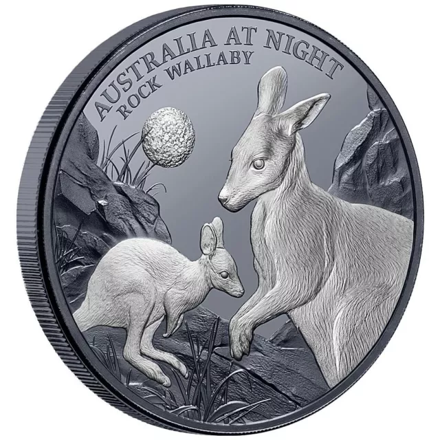 Silbermünze Felskänguru Australien bei Nacht (9.) - 2024 - Niue - 1 Oz BP