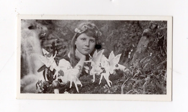 Brooke Bond #25 - The Cottingley Fairies