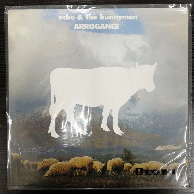 ⑮-㊳ RARE ECHO & the bunnymen - ARROGANCE EUR 171,36 - PicClick ES