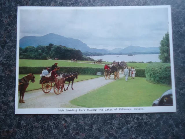 Postcard  Unposted Irish Jaunting Cars Lakes Of Killarney Ireland 1950S ?