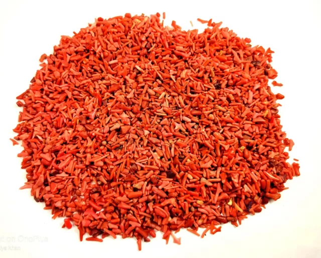 100% Natural Taiwani Red Baby Coral Wholesale Rough Lot