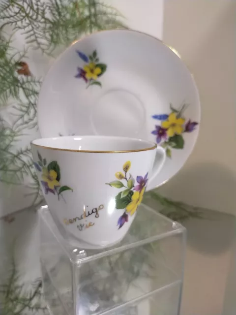 Bendigo Very Rare Tourist Cup and Saucer Set by Marly Sydney 1960s Over print!