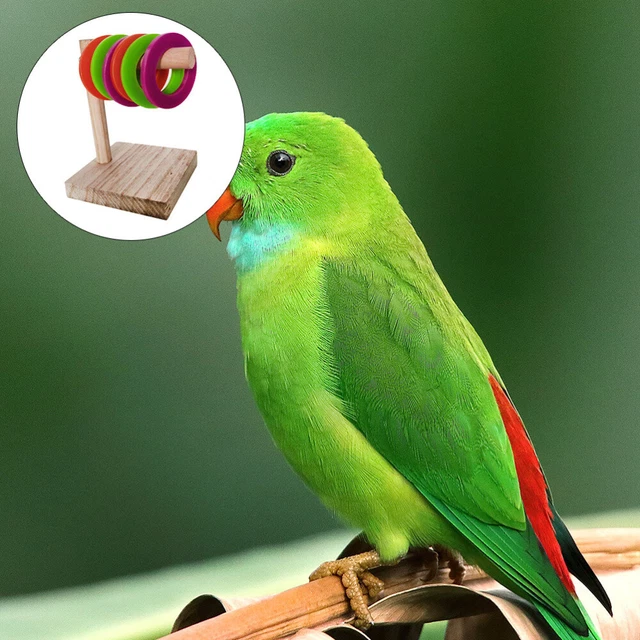 Desktop Accessories Parrot Teaching Toys Parrot Ring Toy Chew