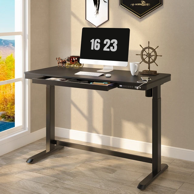 flexispot home office standing desk