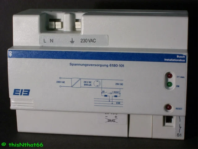 rasen unter eibe Eibe kaufen  immergrne Heckenpflanze