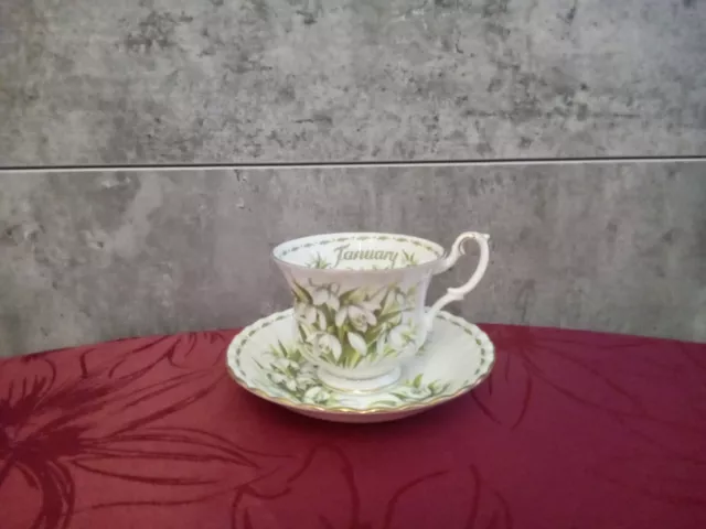 Royal Albert - Flower of the month Tasse und Untertasse - January