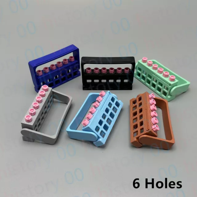 6 Holes Dental Endo Endodontic Root Canal Files Holder With Memory Record Usage