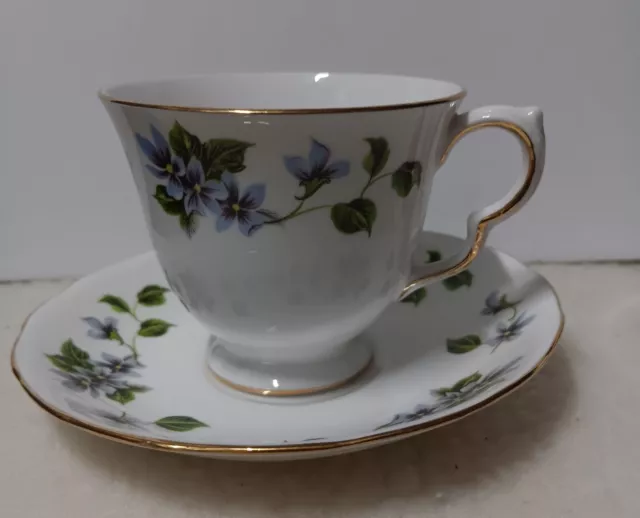 Queen Anne English Fine Bone China Forget Me Not Floral Teacup Saucer Set Collec