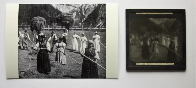c1900 Harvesting Tyrol Val Ampezzo Dolomites?  Italy Antique Underwood  & Photo