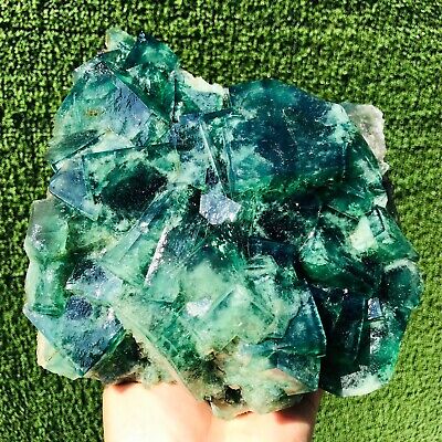 2968G Rare Natural Fluorite Quartz Cluster Crystal Mineral specimen Healing