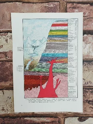Antique Sections of Rock Geology Paleontolog Book Print Lithograph 1920 Picture