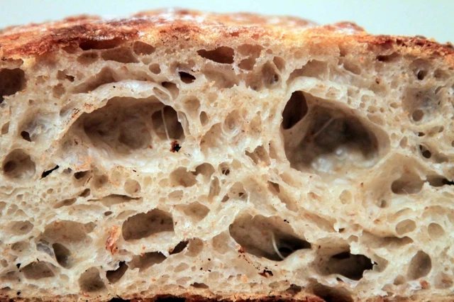WHARF SAN FRANCISCO SOURDOUGH STARTER coltura farina di lievito impasto secco mix@
